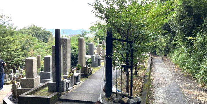 墓域の様子6
