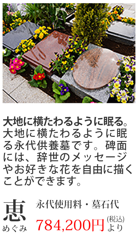 恵(めぐみ)