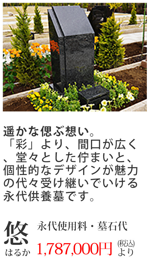 悠(はるか)