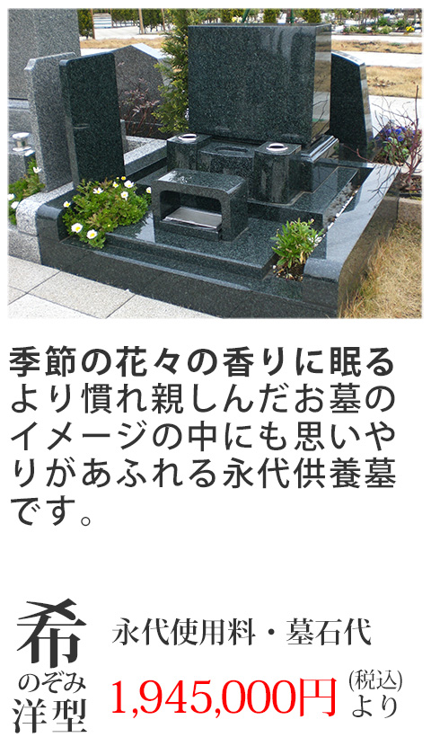 希(のぞみ)洋型