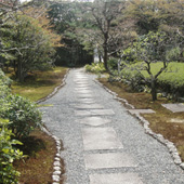 養徳院 通路